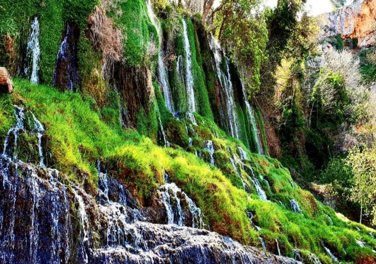 Villa Castro Nuévalos Dış mekan fotoğraf